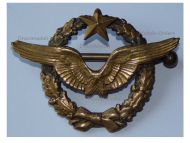 France Pilot Wings Badge French Air Force Indochina War 1946 1954 Numbered