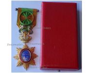 Vietnam WW1 Imperial Order of the Dragon of Annam Officer's Star Boxed (French Indochina)