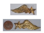France WW2 Wings Observer Badge of the French Naval Aviation Aeronavale 1939 1945 Part by Drago