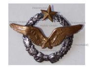 France WW1 Pilot Wings Badge French Air Force 1914 1918 Numbered