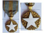 France WW1 Civil Wound Medal Circular Type