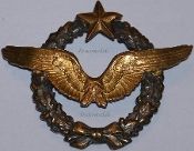 French Military Insignia & Pins